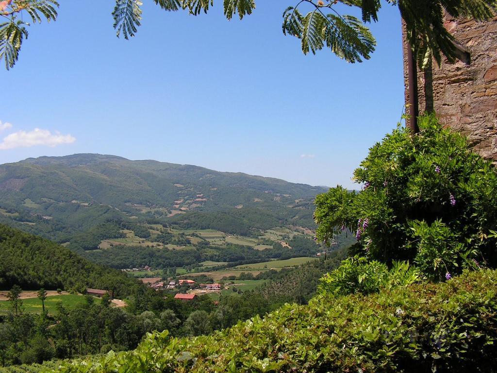 Fattoria Il Lago Dicomano Pokój zdjęcie