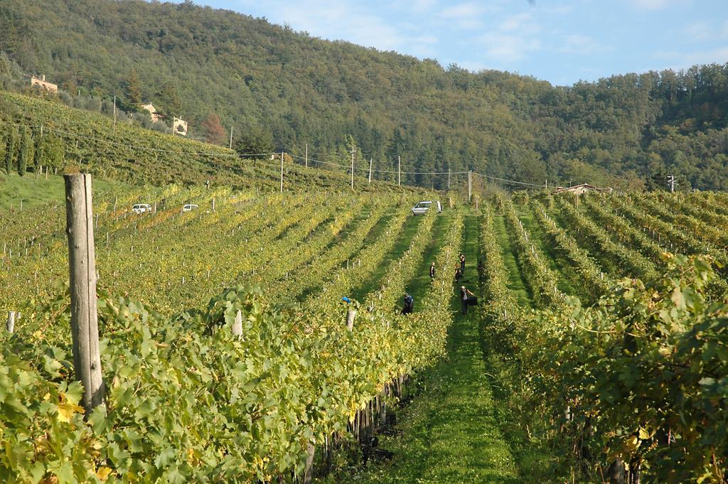 Fattoria Il Lago Dicomano Zewnętrze zdjęcie