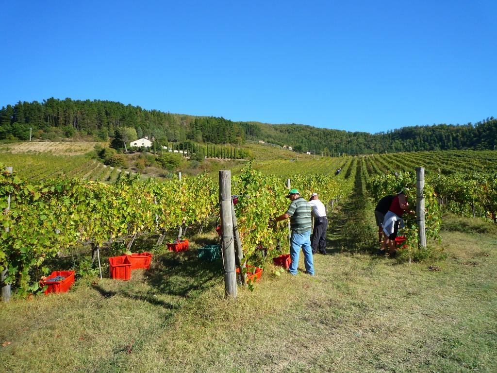 Fattoria Il Lago Dicomano Zewnętrze zdjęcie
